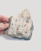 Ontario Dolomite Raw Specimen