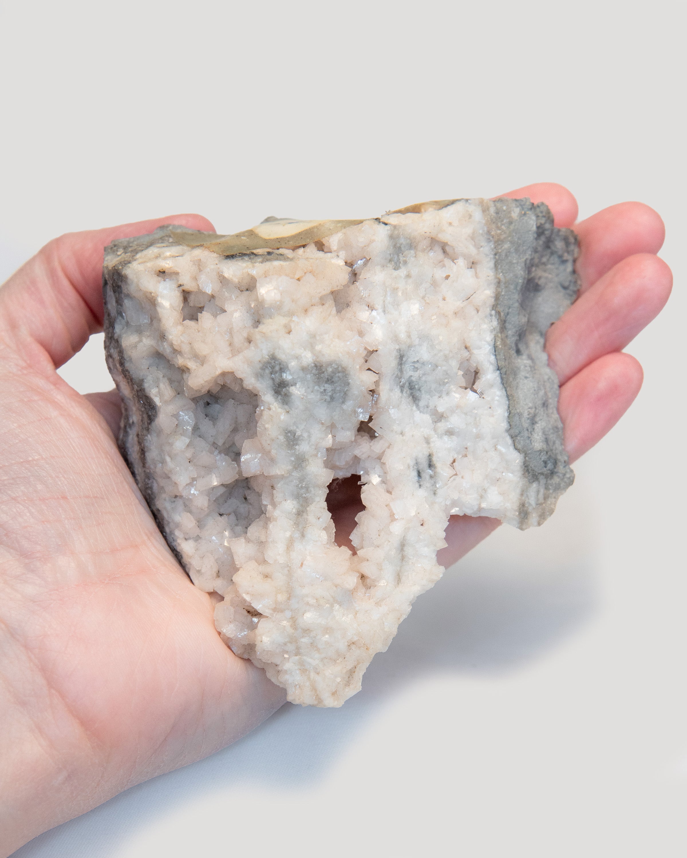 Ontario Dolomite Raw Specimen